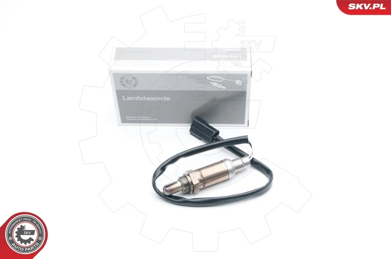 Oxygen Sensor